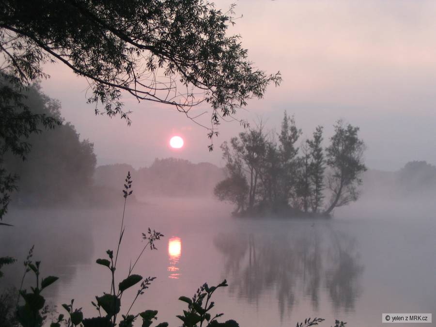 ráno narybách
