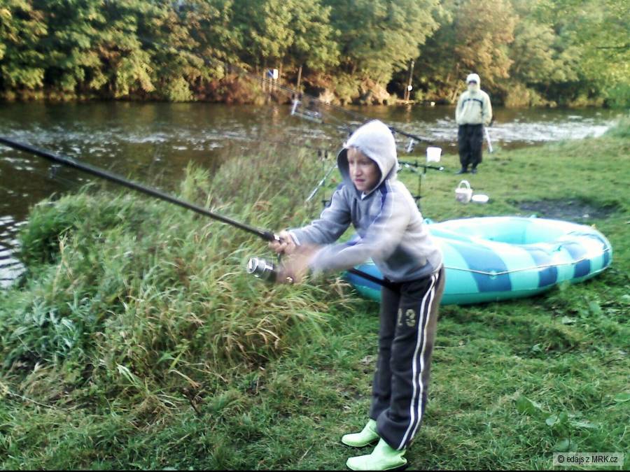 kořensko