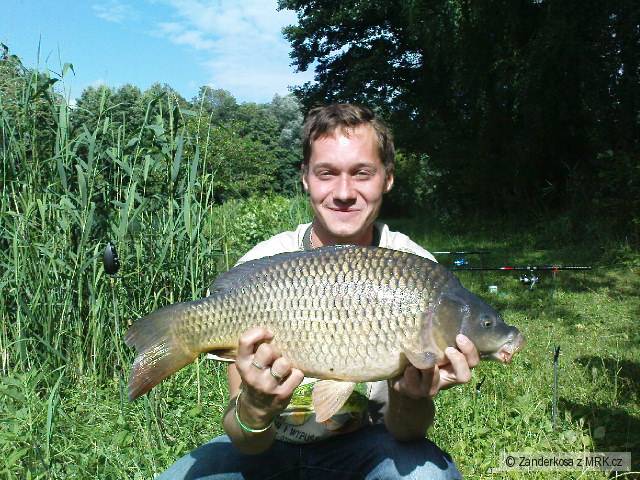 65 cm