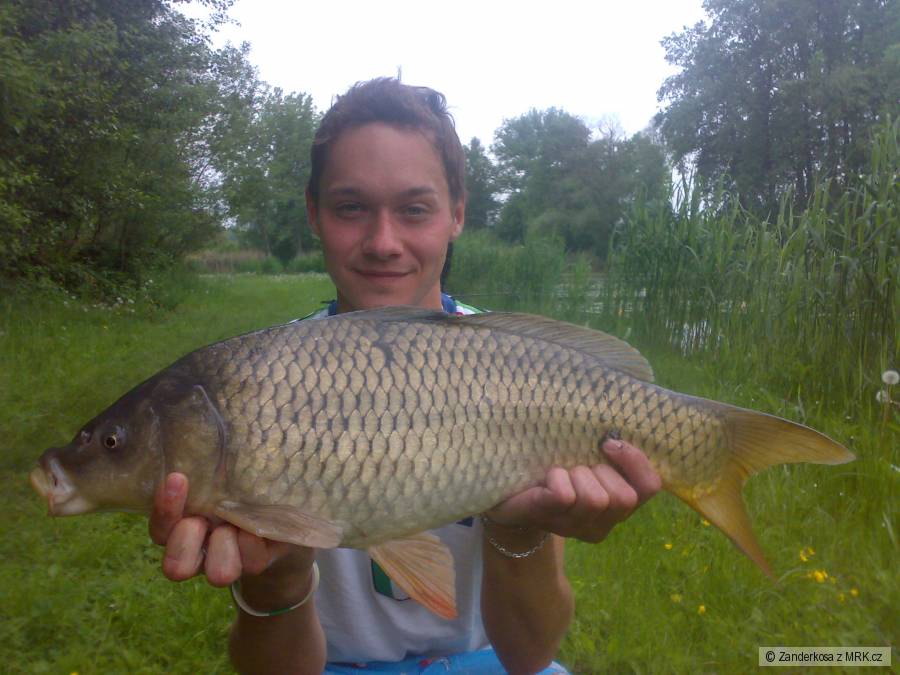 62 cm