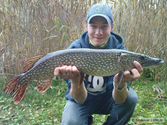 72 cm