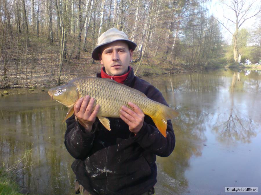 rybařske závody Michalkovice