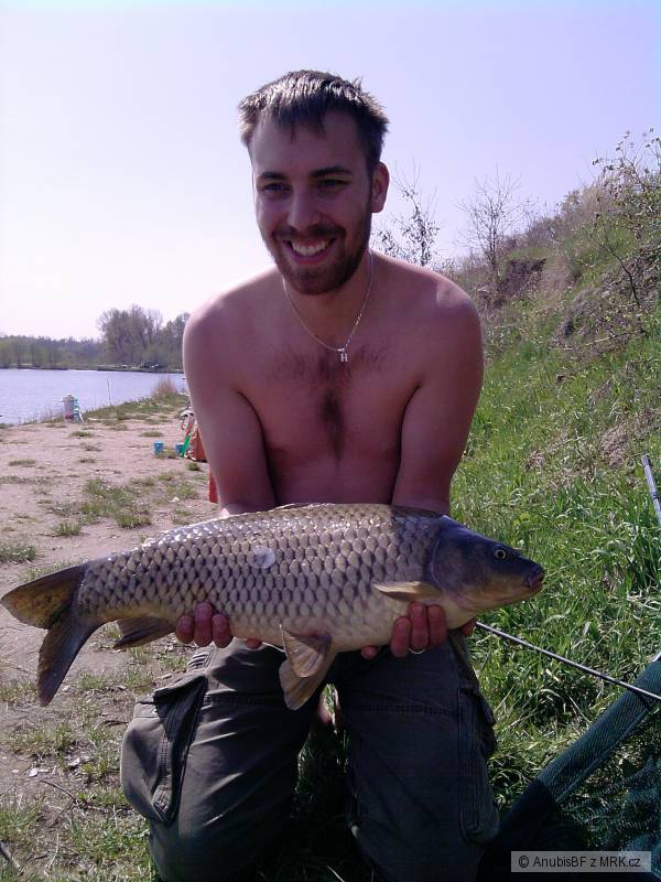 Kaprik 63 cm