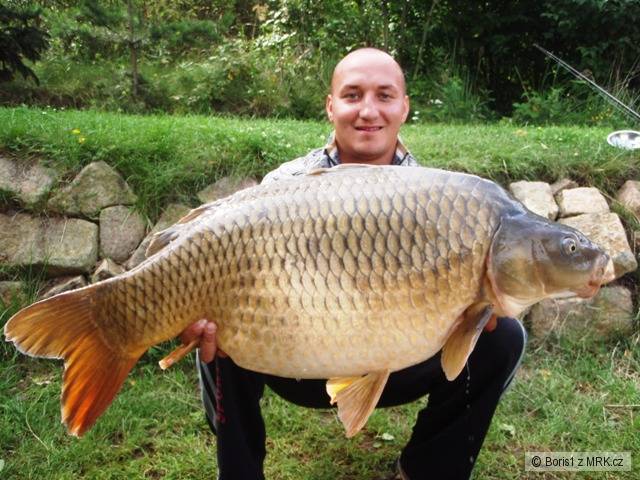 19kg, 95cm