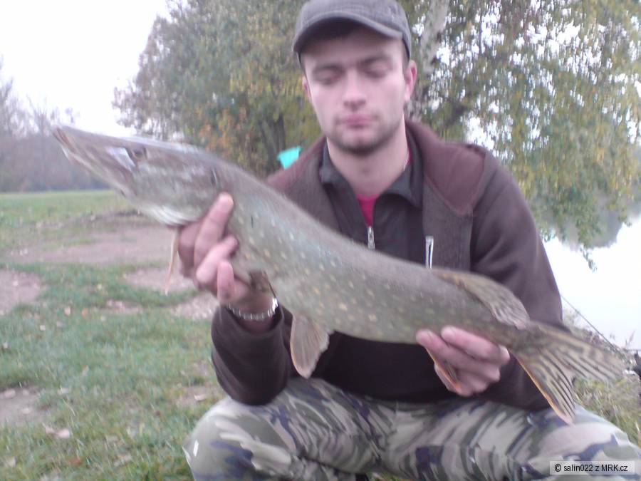 štika