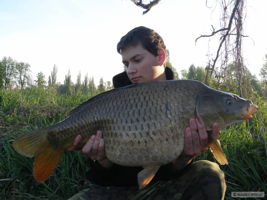 11.5 kg