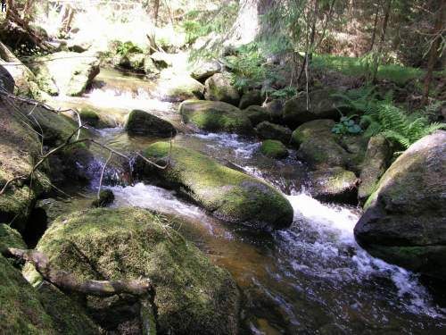 05.07.2004 - Lipno - Fr�dava