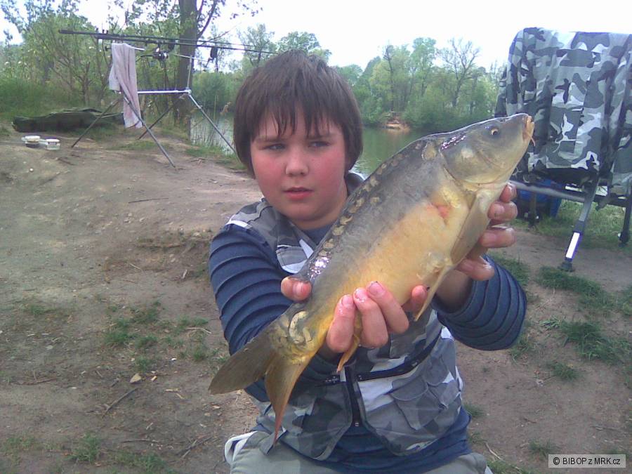 CARP