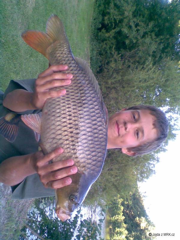 kapr 50-feeder