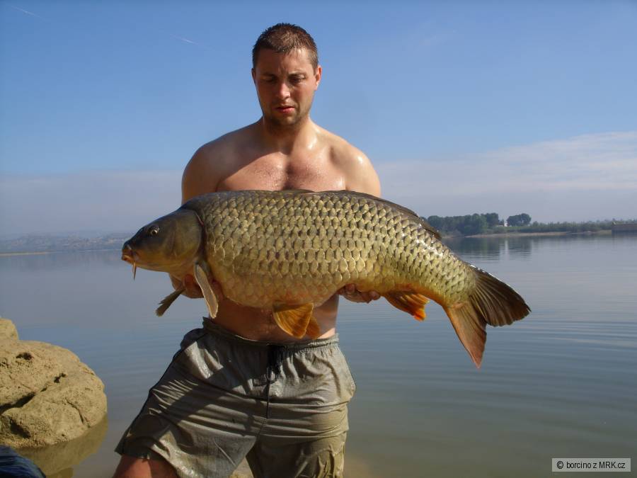 95 cm