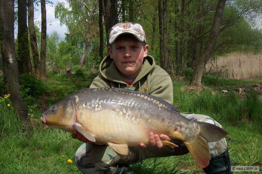 kapr 72cm a 6,60kg