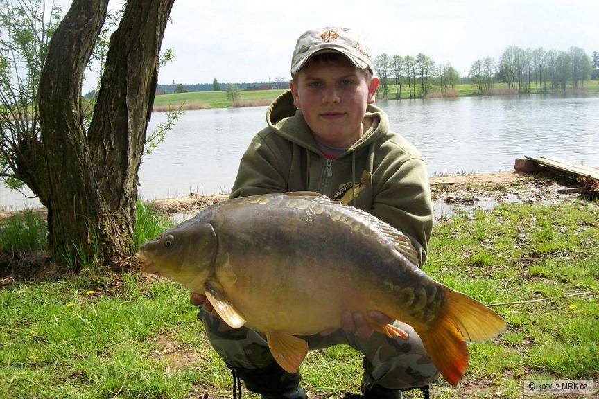 kapr 65cm a 7kg