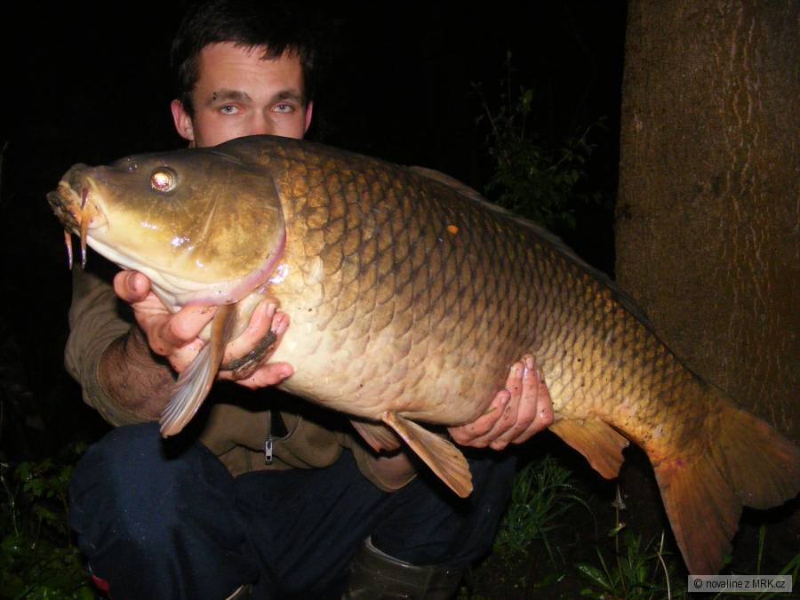 85cm 8kg