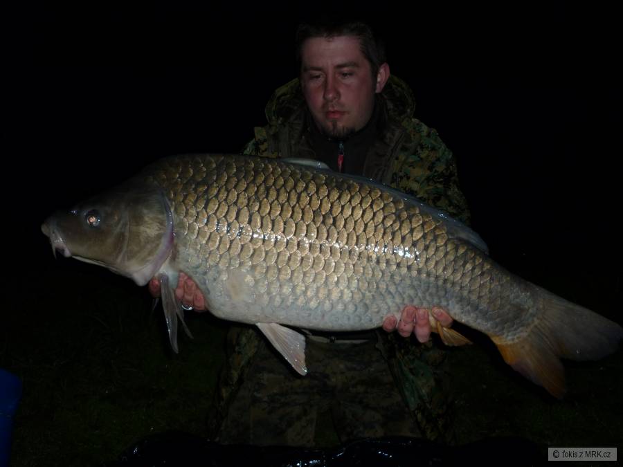 koblov 94 cm, 15 kg