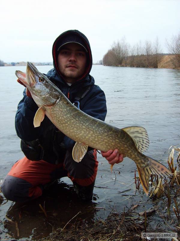 �tika, p�skovna 2009