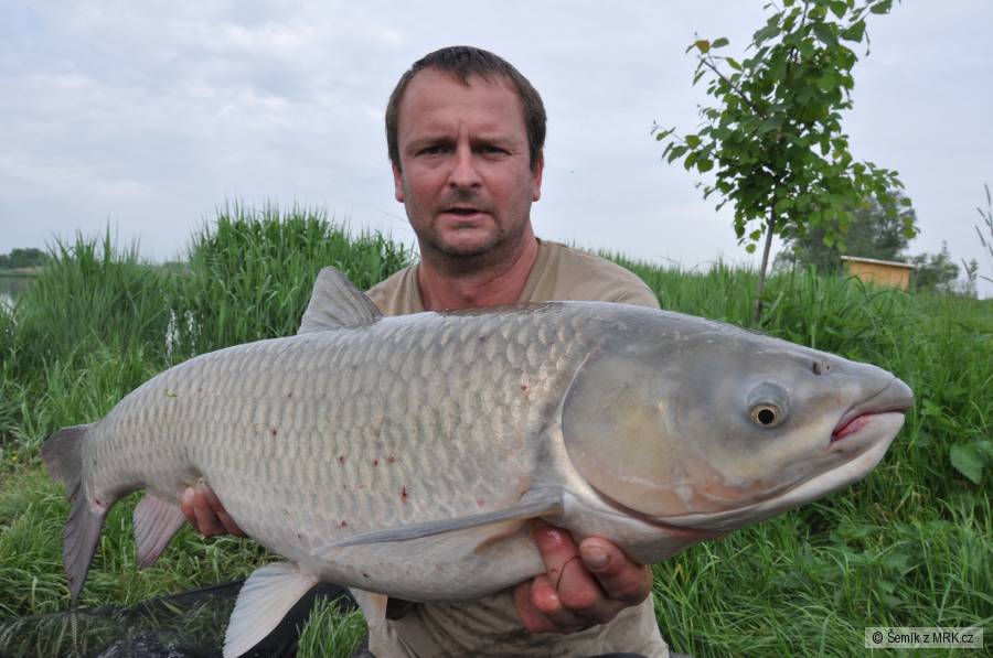 Kapřík 22,5kg