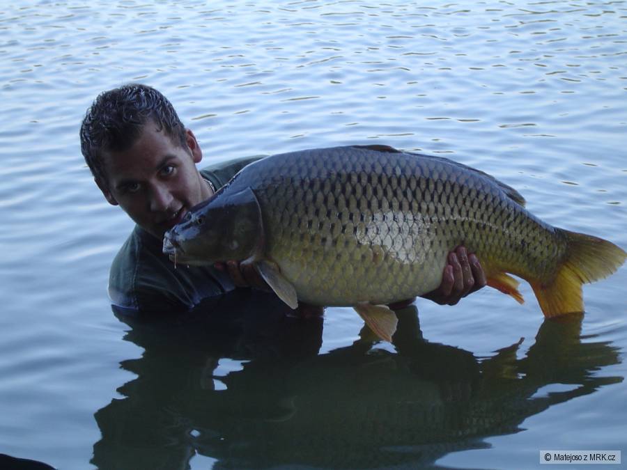 koupačka