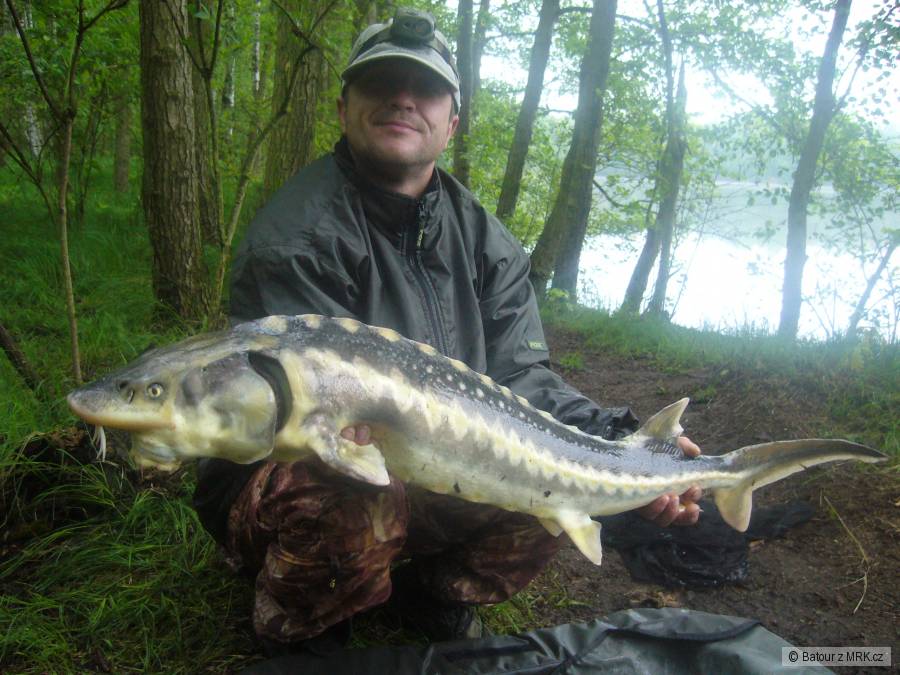 Jezero jaroslav
