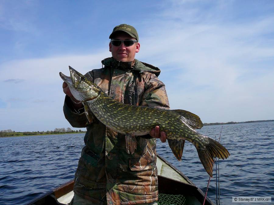 Štika 85 cm