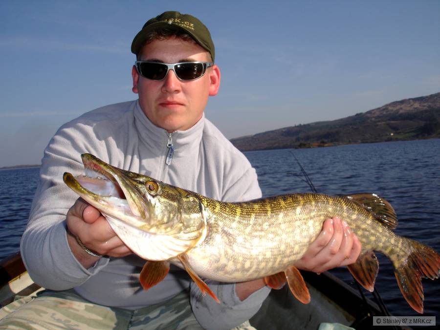 Štika 73 cm