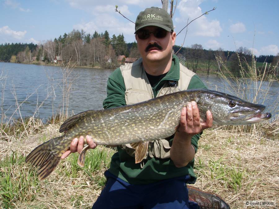 štika