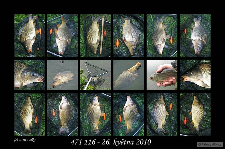 Fishing in the rain ;-)