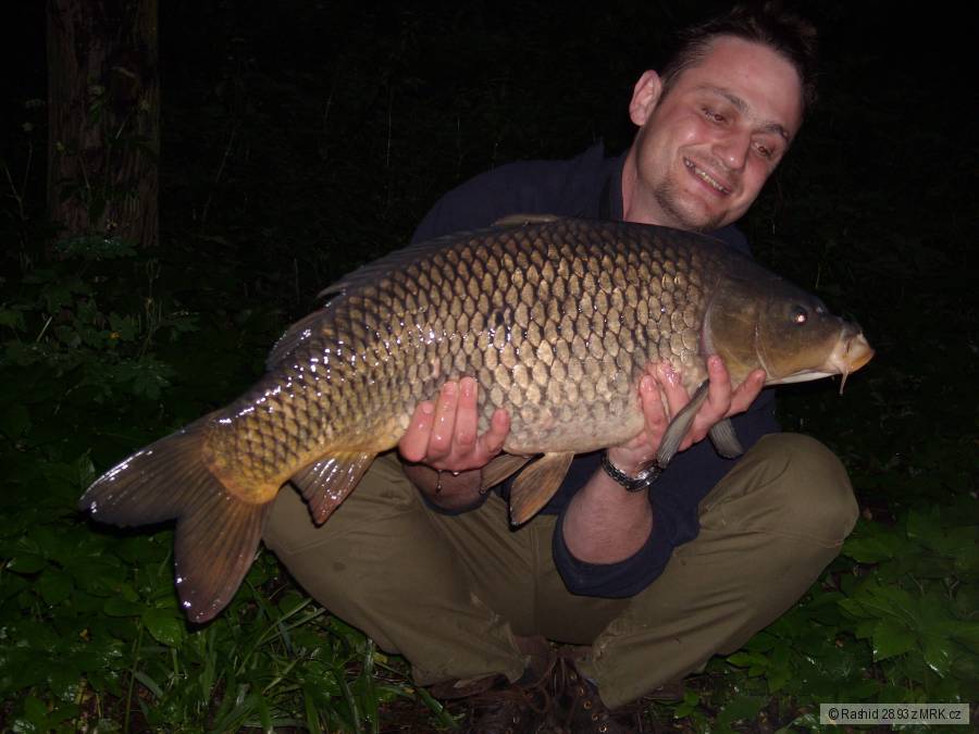 83cm, 10kg