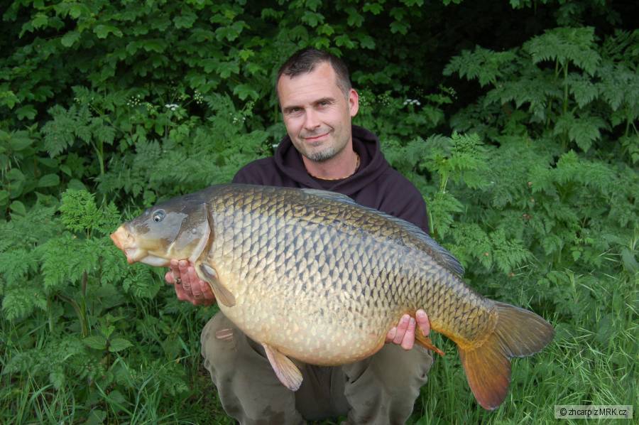 14.80 kg