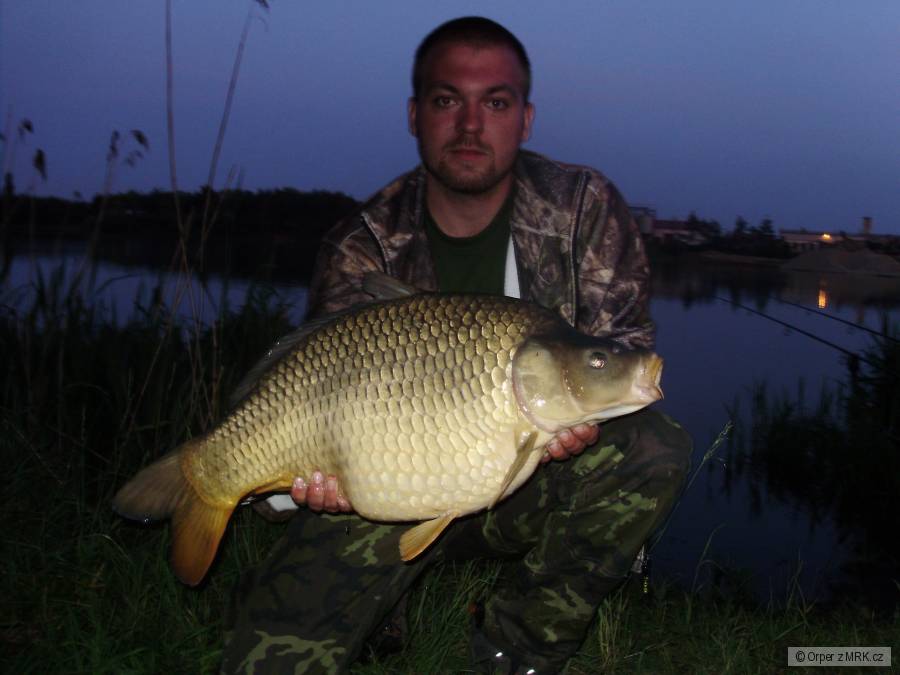 74cm10kg