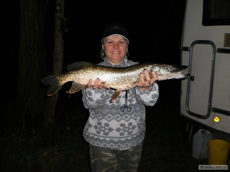 štika 78 cm