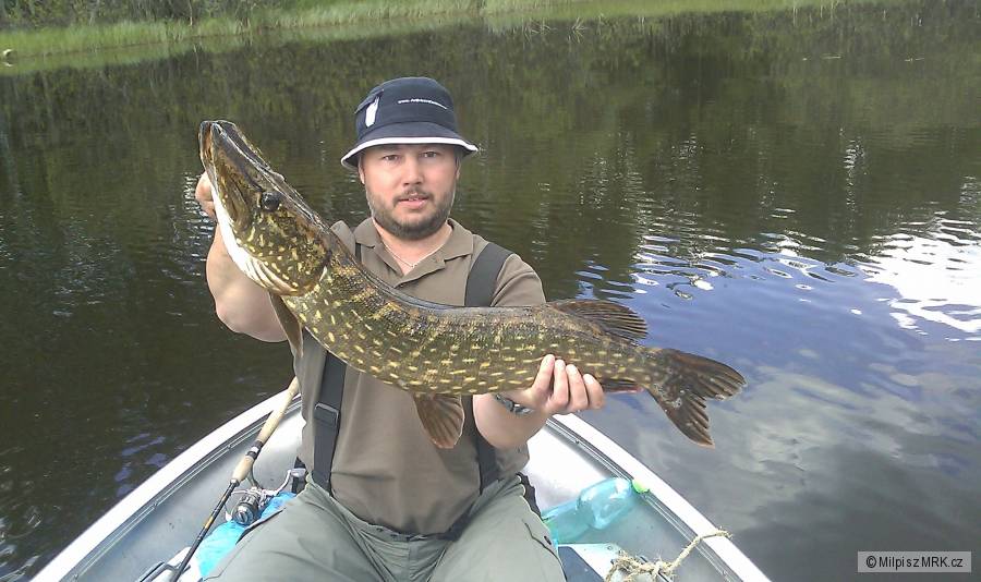 Štika 87cm