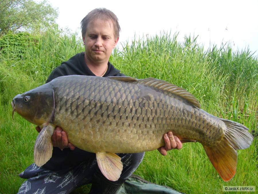 90cm 14,7 kg