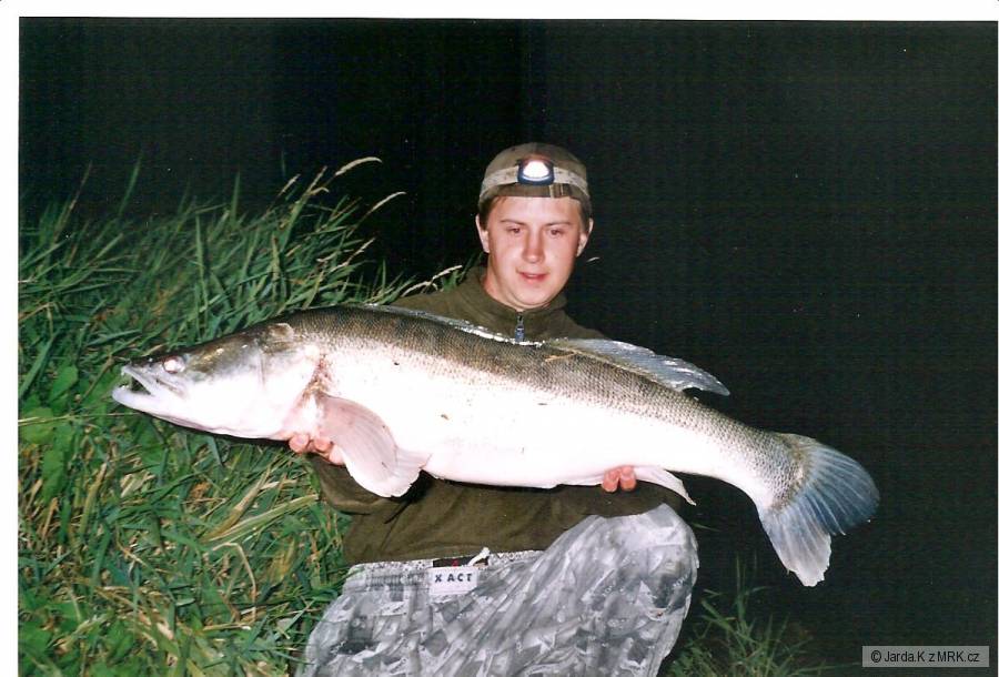 92cm 8.2 kg