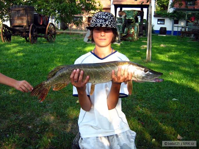 štika 88cm 6,7kg