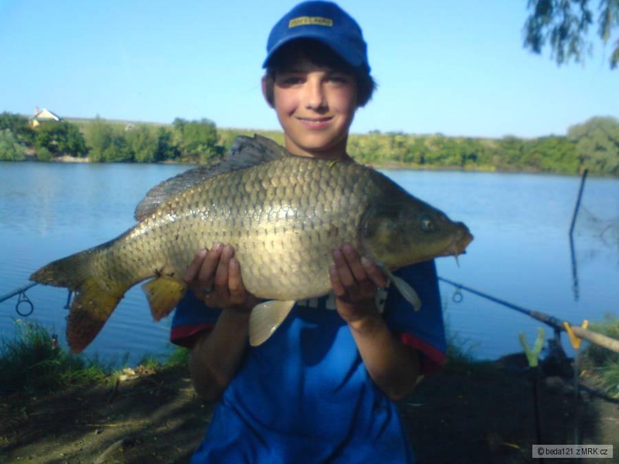 kapr 62 cm 4,5kg