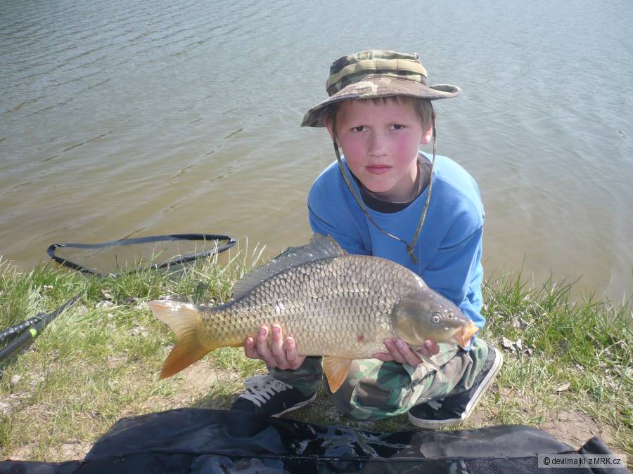 kapřík 52 cm