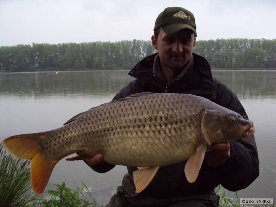 šupík 70cm Turinsky rybnik