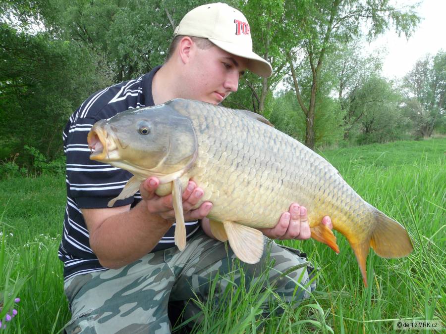 mušov 2