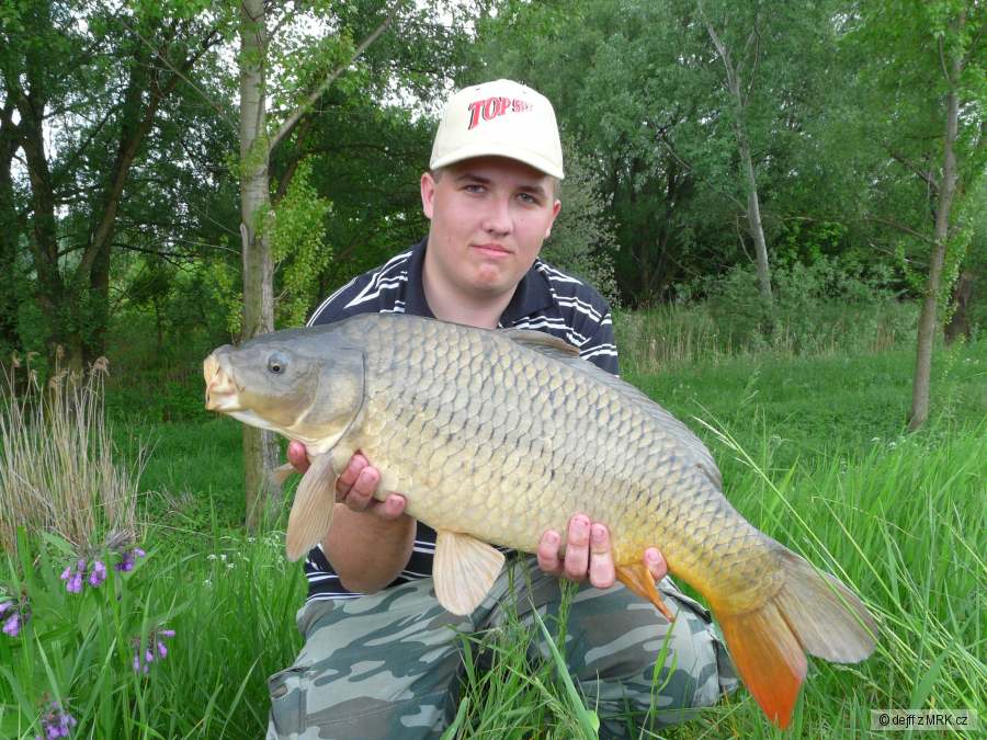 dyje 7