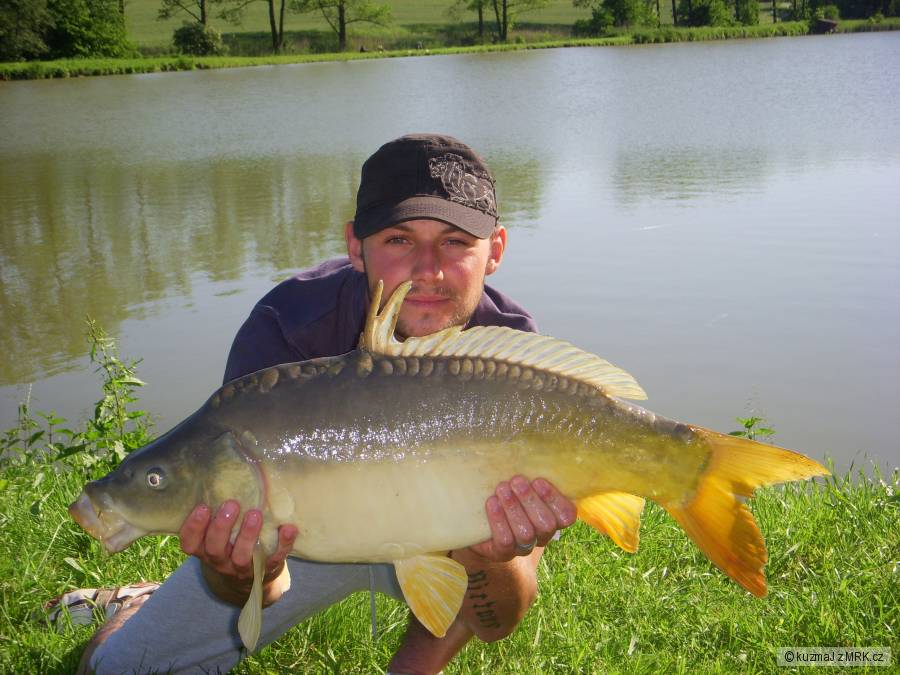 polouvsi