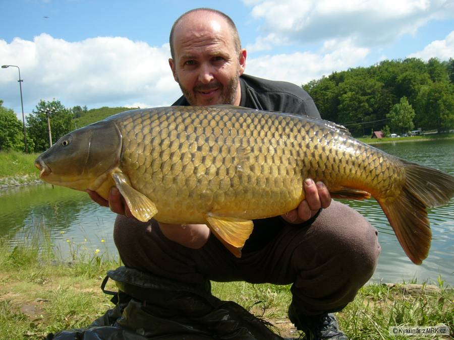 12,50 kg