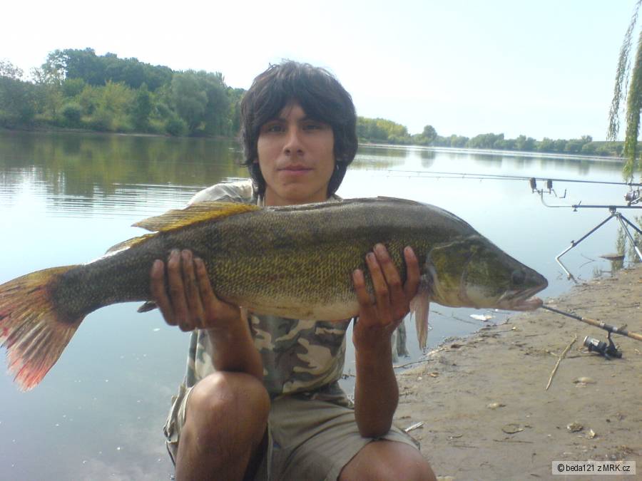 PAVEL HRABÁNEK A CANDÁT 82CM 6,2KG
