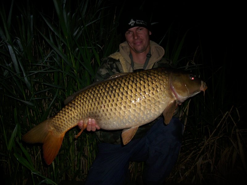 Carp 2