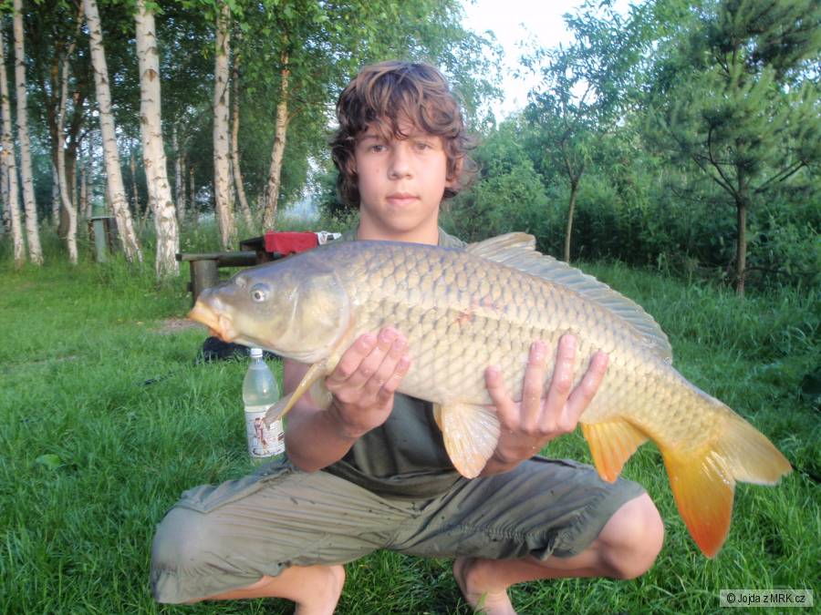76cm a 6,5kg