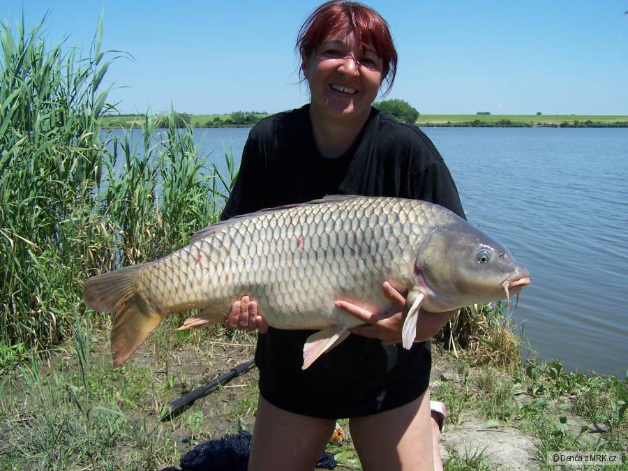 Merenye 95cm, 13,25kg
