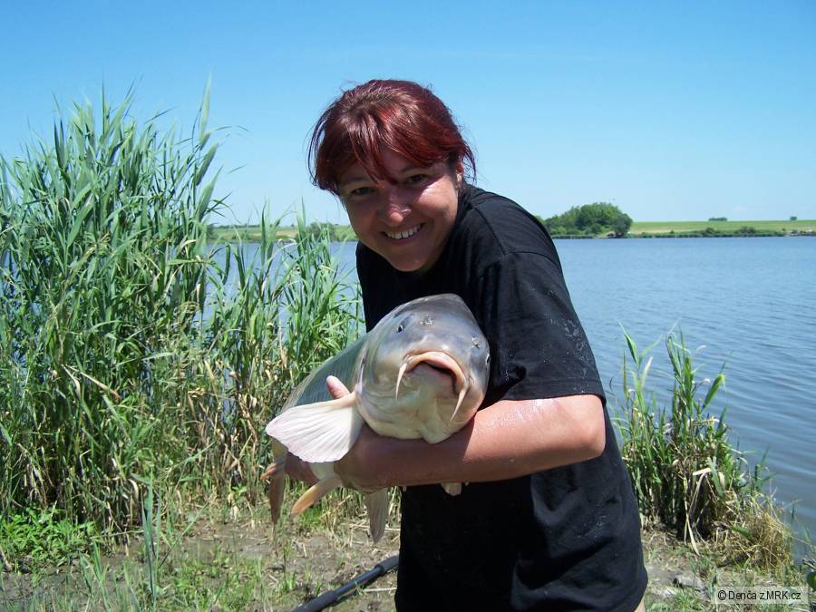 Merenye 95cm, 13,25kg