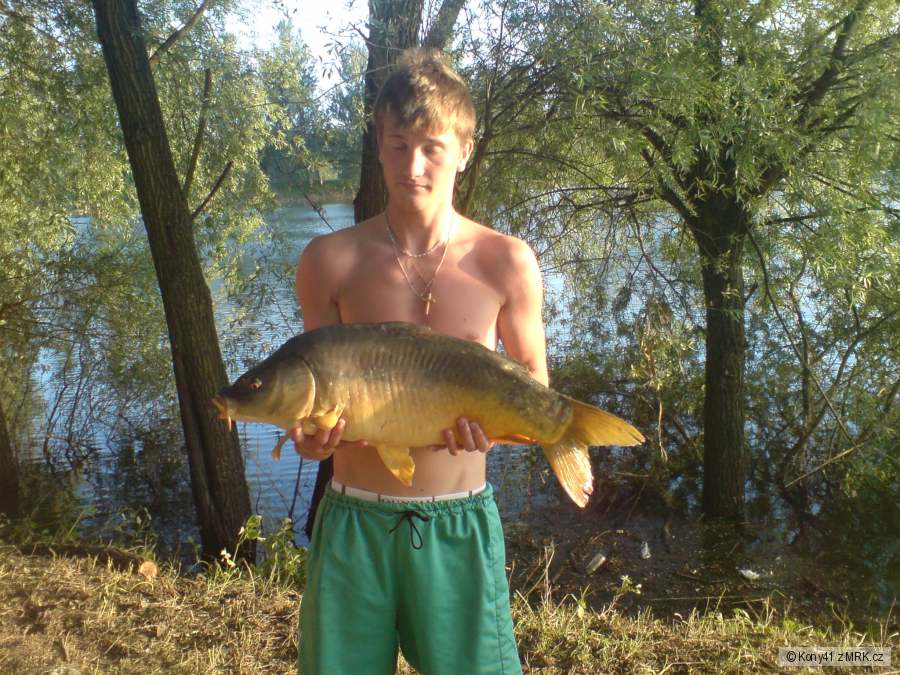 Kamarátov: 76cm, 8kg