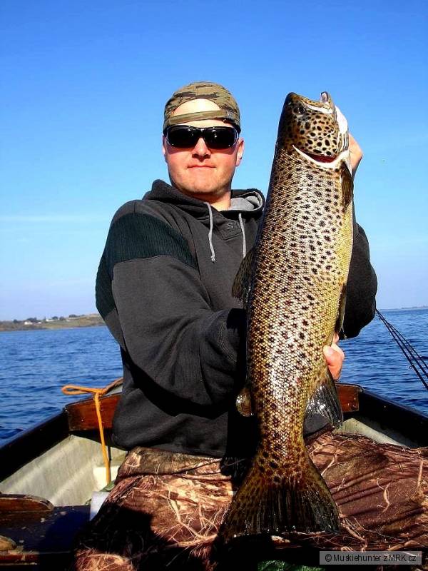 Lake Ferox trout
