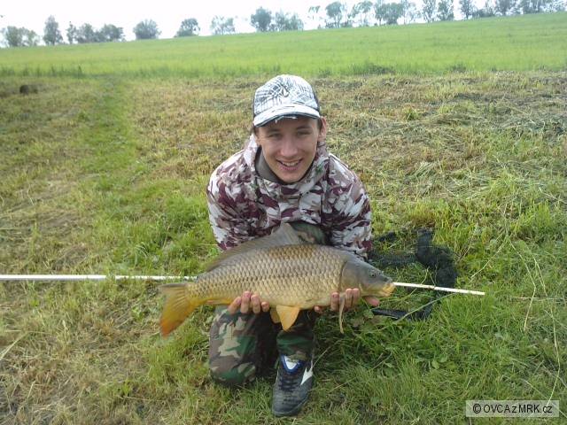 KAPR LAČNOV 68cm