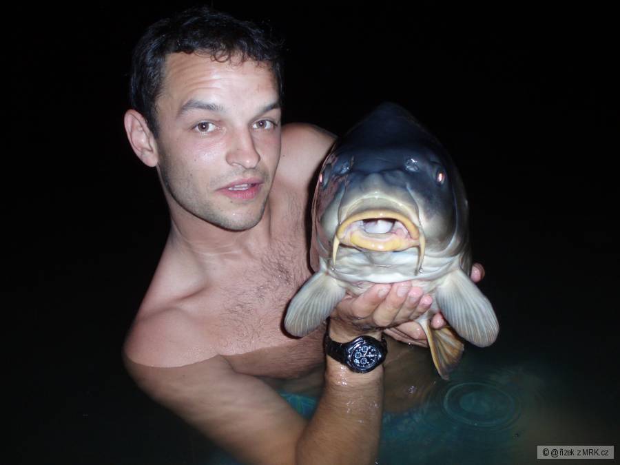 LB carp